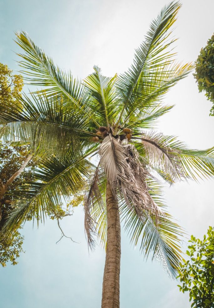 from Our Bar to Your Home